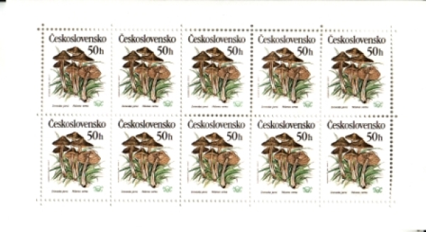 2909 / 2913 PL ** - 1989