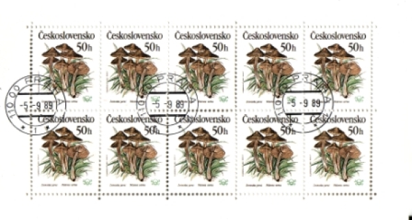 2909 / 2913 PL ● - 1989