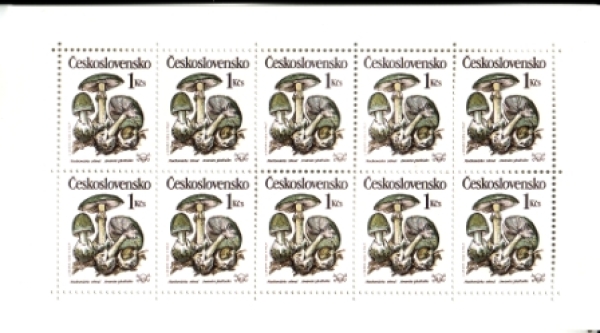 2909 / 2913 PL ** - 1989