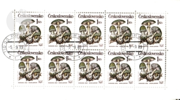 2909 / 2913 PL ● - 1989