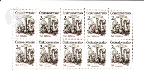 2909 / 2913 PL ** - 1989