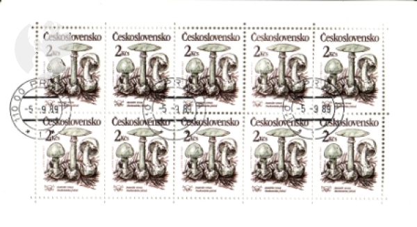 2909 / 2913 PL ● - 1989