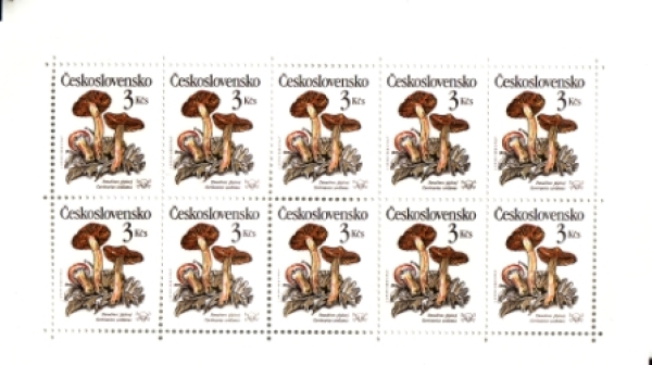 2909 / 2913 PL ** - 1989