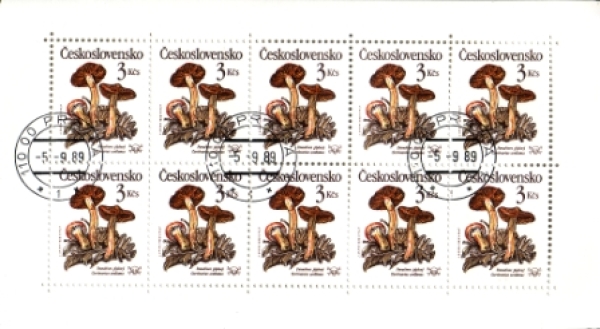 2909 / 2913 PL ● - 1989