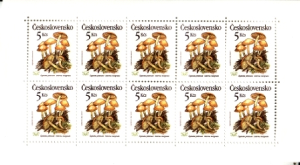 2909 / 2913 PL ** - 1989