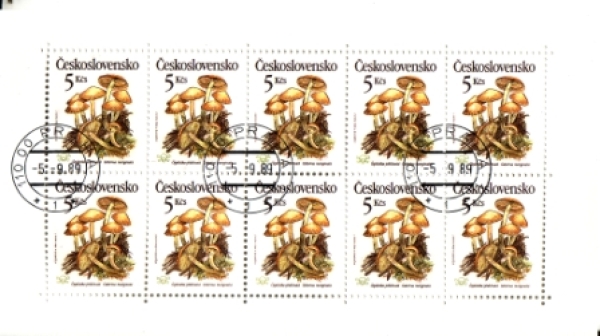 2909 / 2913 PL ● - 1989