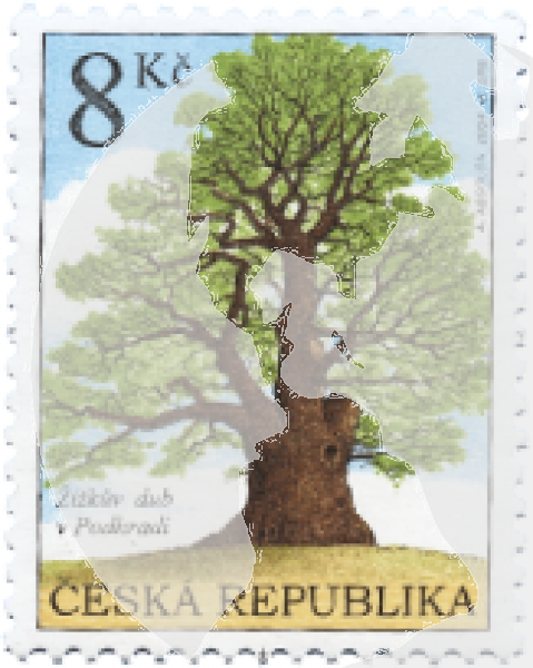 0387 / 0420 ● - 2004 kompletní razítkovaný (ražený) ročník
