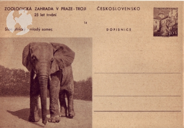 CDV 130 / 14 ** - 1956