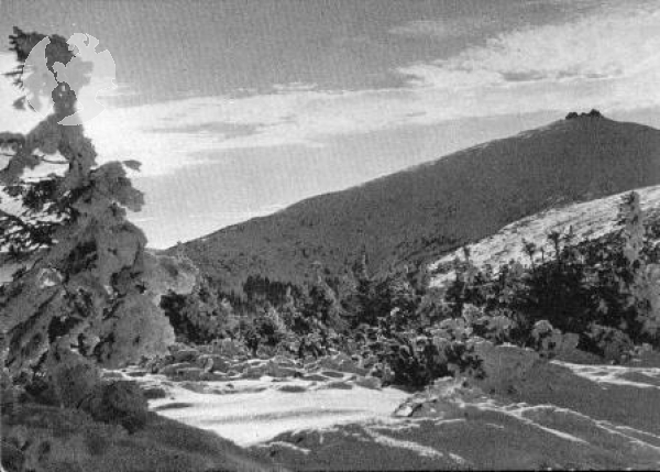 CPH 002 ** - Satz Bildpostkarten - 1950