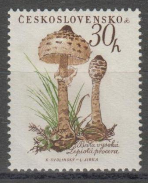 1018 ** - 1958