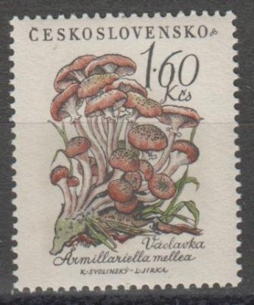 1022 ** - 1958
