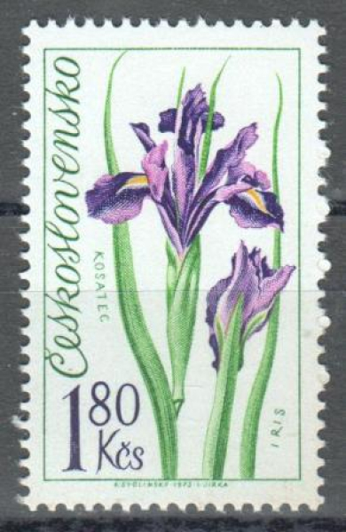 2039 ** - 1973