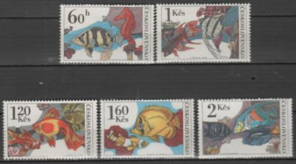 2142 / 2146 ** - 1975