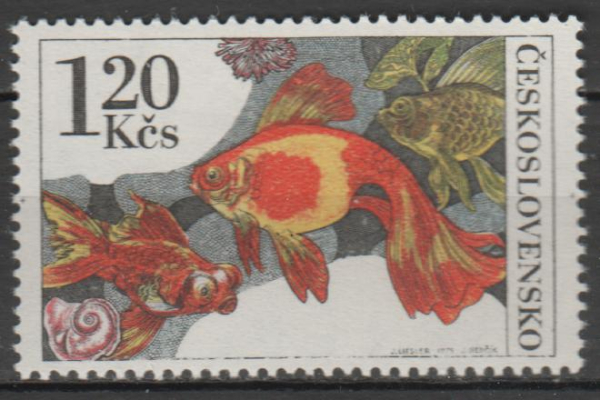 2144 ** - 1975