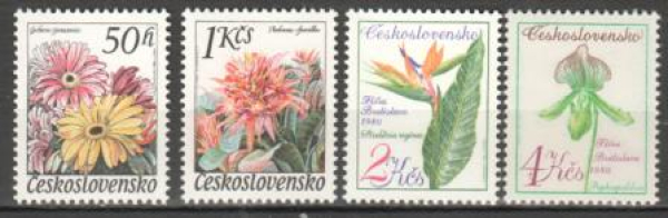 2445 / 2448 ** - 1980
