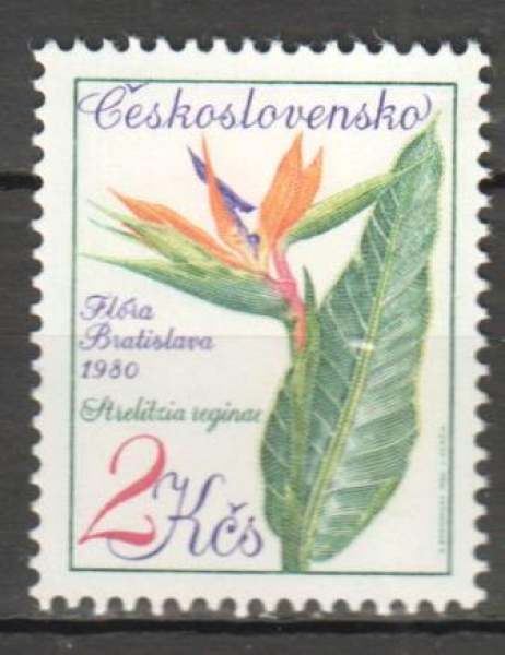 2447 ** - 1975