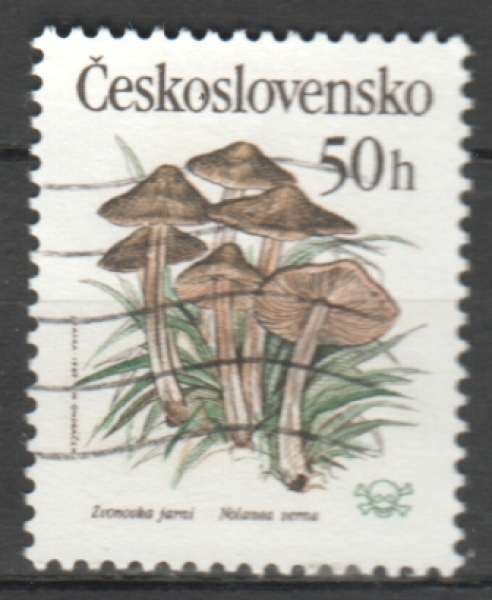 2909 - vlnovka ● - 1989