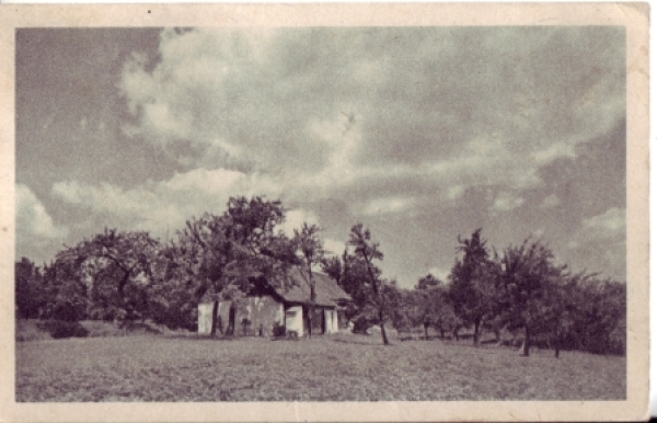 neznám kde to je - CZ 1947 95 001 ●