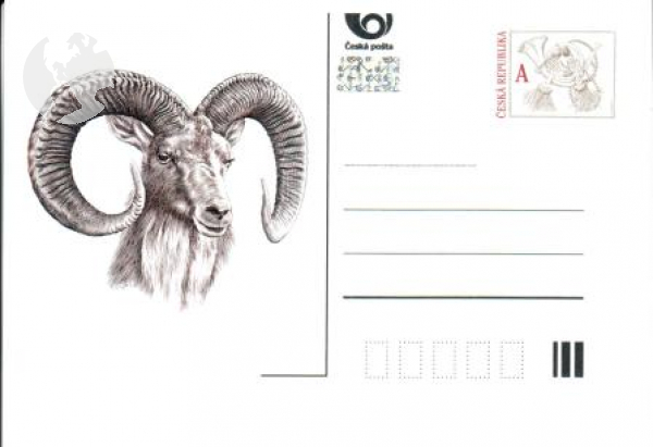 CDV 133 F - CZ 2019 99 005 **