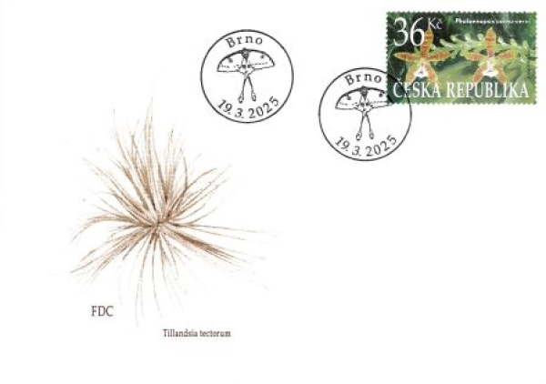 FDC 1303 / 1338 b ● - 2024 komplette Jahrgang