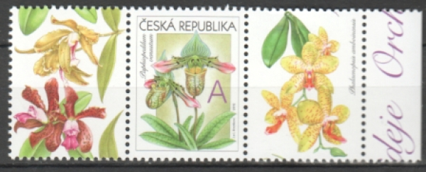 0745 K L (A) + ZN + K P (C) ** - 2012