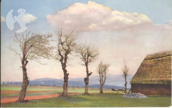 Rehefeld (Zeichnung) - D xxxx 95 023 **