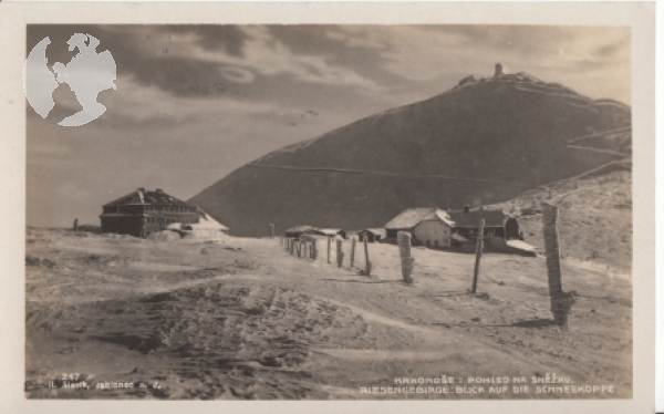 Krkonoše - Sněžka 1931 95 014 ●