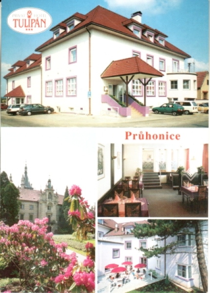 Pruhonitz xxxx 95 134 **