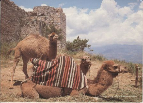 Alanya - TR 1999 95 001 ●