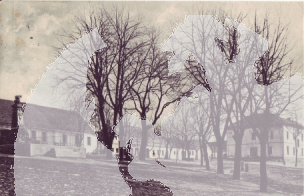 Trhový Štěpánov 1931 95 009 ●