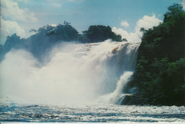 Canaima - Edo - YV 1990 95 001 ●