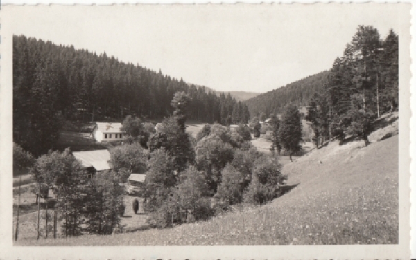 Nový Hrozenkov 1942 95 019 ●