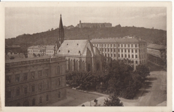 Brno - CZ 1916 95 005 ●