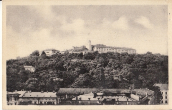 Brno - CZ 1949 95 005 ●