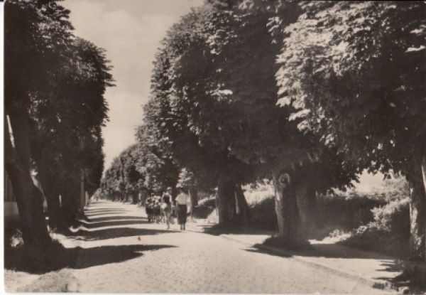Schüttenhofen - CZ 1957 95 003 ●
