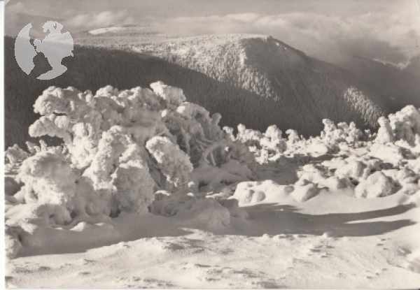Krkonoše - Stoh - CZ 1965 95 005 ●