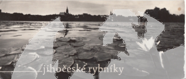 Jihočeské rybníky - CZ 19xx 95 283 ●