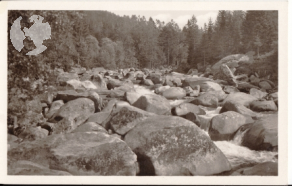 Šumava - Sušitsko - CZ xxxx 95 282 **
