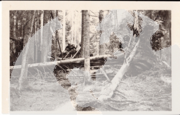 Šumava - Boubín - CZ xxxx 95 286 **