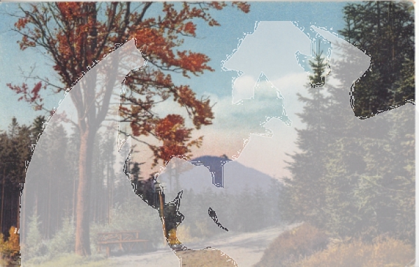 Oybin - D 1920 95 013 ●