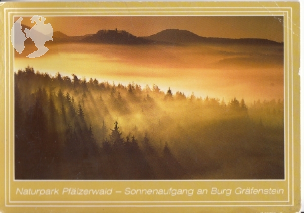 Naturpark Pfälzerwald - Burg Gräfenstein - D 2015 95 002 ●