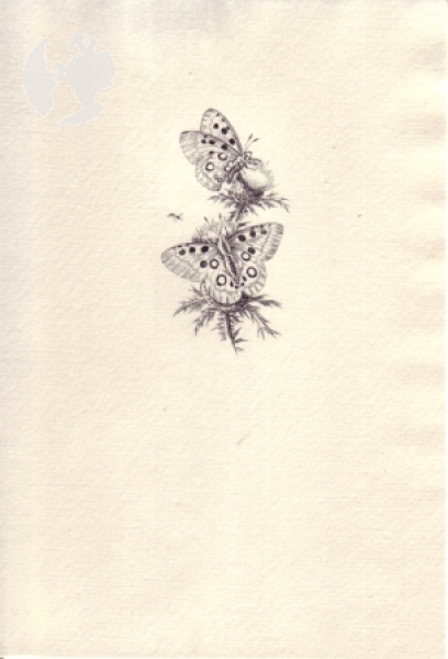 CZ Motýli - Jindra Schmidt