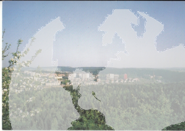 Zruč nad Sázavou xxxx 95 001 **