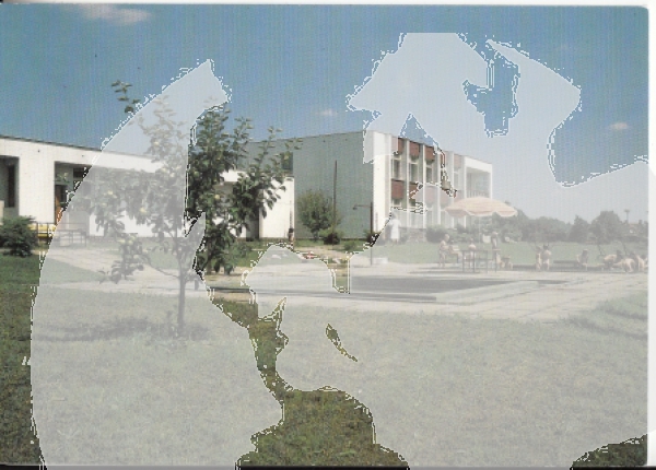 Zruč nad Sázavou xxxx 95 005 **