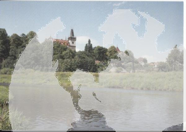 Zruč nad Sázavou xxxx 95 007 **