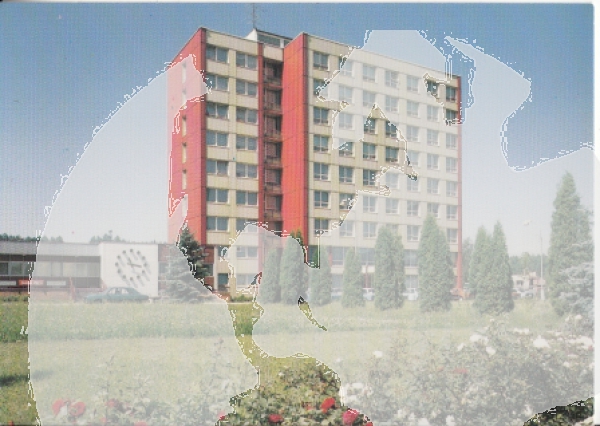 Zruč nad Sázavou xxxx 95 008 **