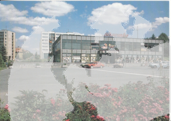 Zruč nad Sázavou xxxx 95 009 **