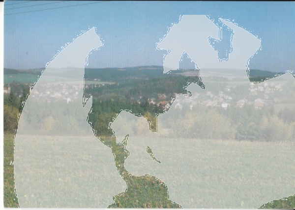 Zruč nad Sázavou xxxx 95 011 **