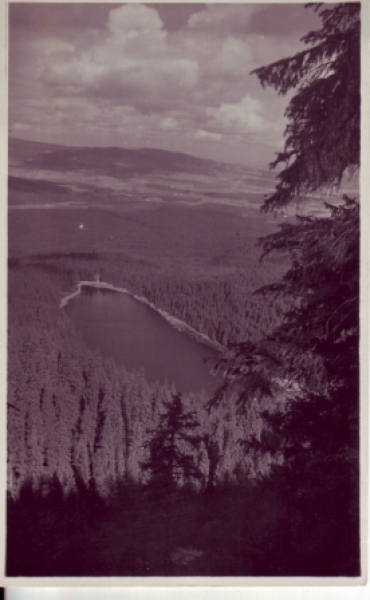 Böhmerwald - Plöckensteiner See 1946 95 005 ●