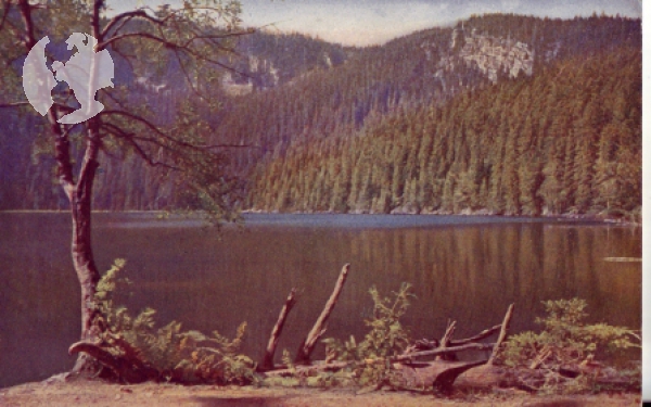 Böhmerwald - Plöckensteiner See xxxx 95 060 **